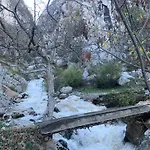 Bujtina Shpella E Plakes Cercan Гостевой дом