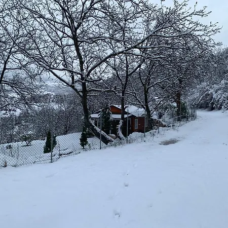 Bujtina Shpella E Plakes Cercan *