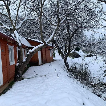 Bujtina Shpella E Plakes Cercan