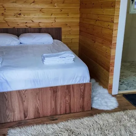 Bujtina Shpella E Plakes Cercan