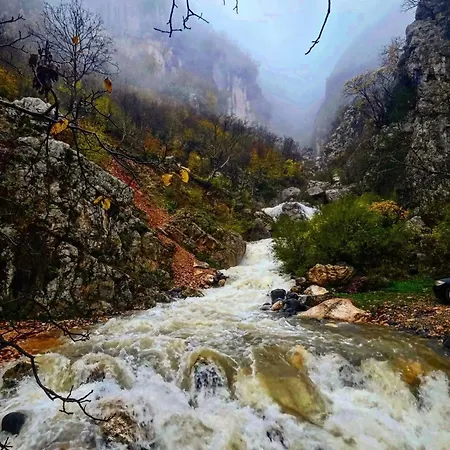 Bujtina Shpella E Plakes Cercan