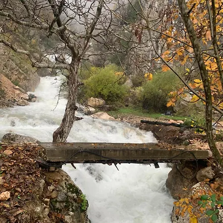 Bujtina Shpella E Plakes Cercan