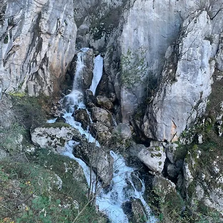 Bujtina Shpella E Plakes Cercan *