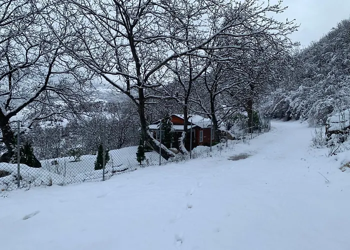 Bujtina Shpella E Plakes Cercan *