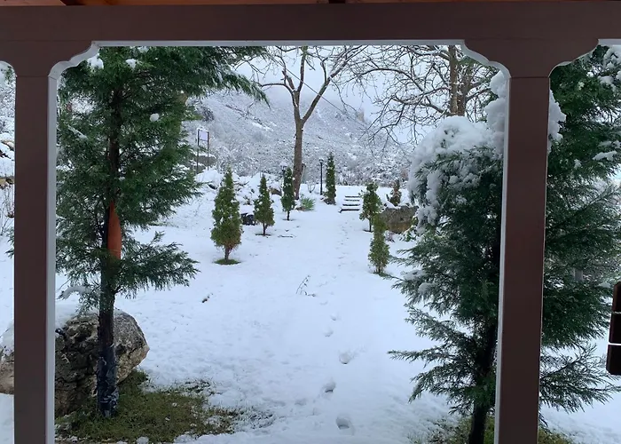 Pensjonat Bujtina Shpella E Plakes Cercan