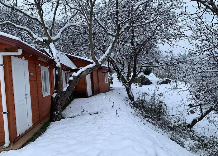 Bujtina Shpella E Plakes Cercan