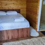 Bujtina Shpella E Plakes Cercan