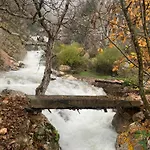 Bujtina Shpella E Plakes Cercan