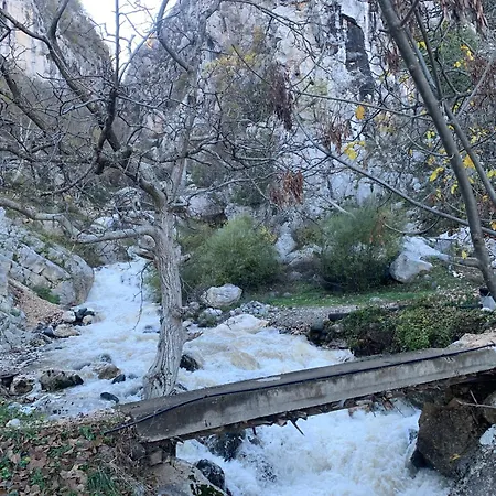 Bujtina Shpella E Plakes Cercan 招待所