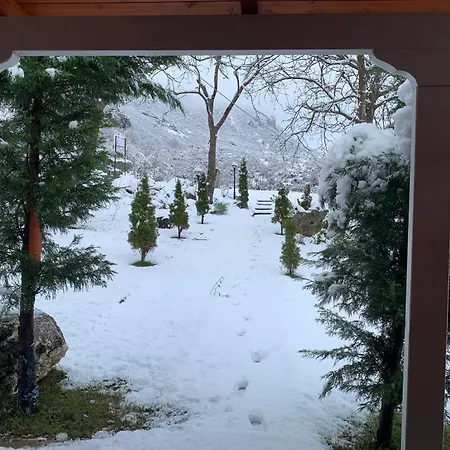 招待所 Bujtina Shpella E Plakes Cercan