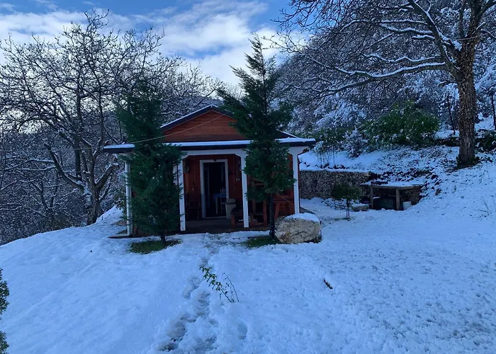 Maison d'hôtes Bujtina Shpella E Plakës çerçan *